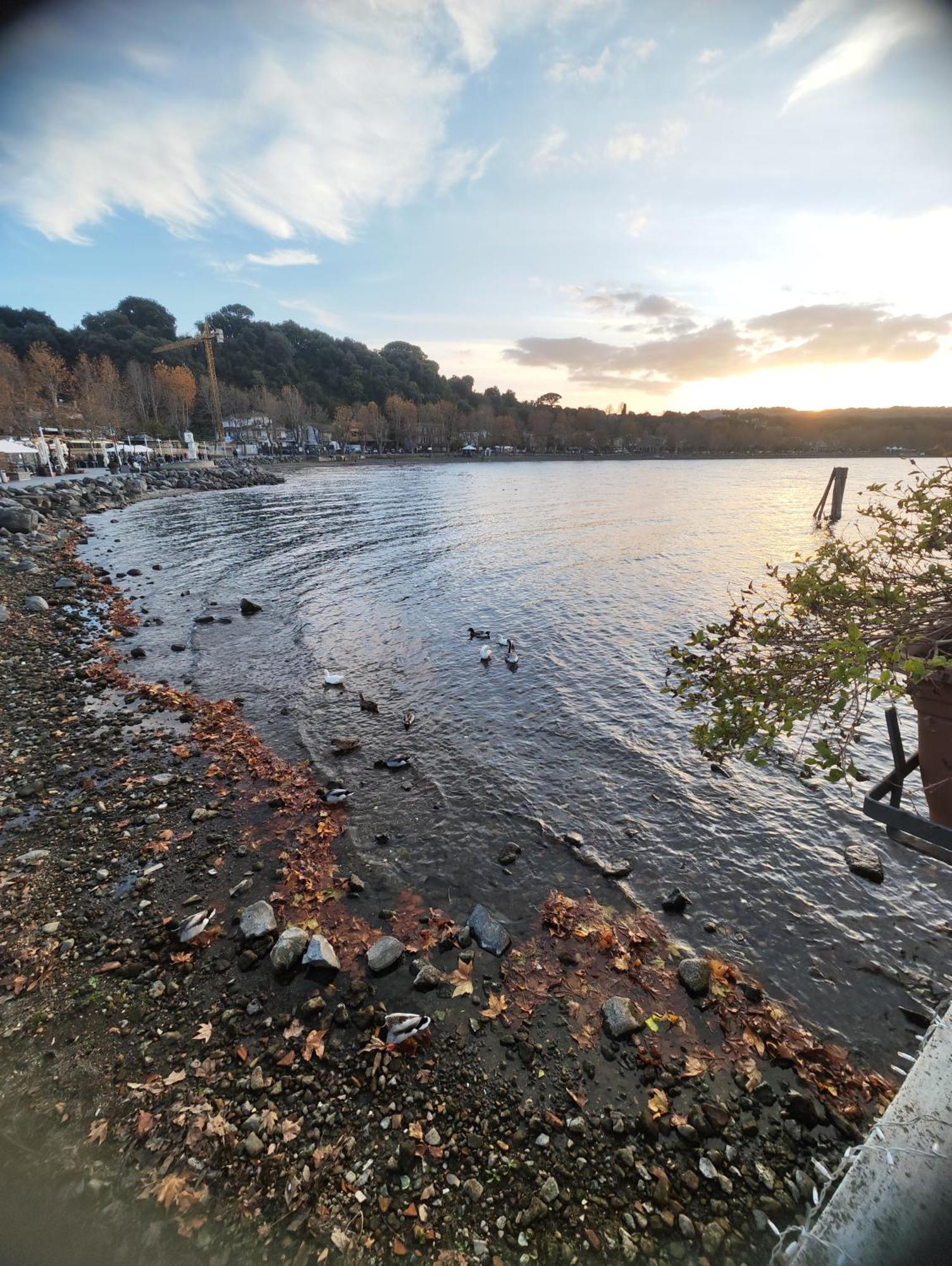 Chalet Romantico Sul Lago Lejlighed Anguillara Sabazia Eksteriør billede